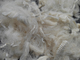 La fibra de alta resistencia de Aramid ignífuga protege la ropa